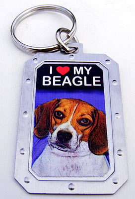 Key-Chain Assortment, I Love My Dog, Stainless-Steel
