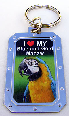 Key-Chain Assortment, Exotic Birds, Stainless-Steel