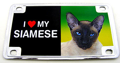 Bike Plate/Magnet Assortment, Stainless, Cat Breeds