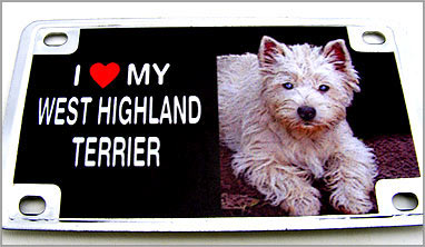 Bike Plate/Magnet Assortment, Stainless, Top Breeds