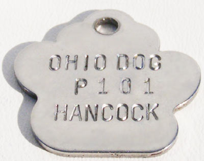 Engraveable Paw Print, 25x25 mm, Shiny Stainless-Steel