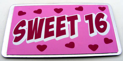 Bike Plate/Magnet Assortment, Sweet Sixteen, Stainless-Steel
